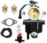 LIZAPUS Carburetor Carb Compatible with Coleman Powermate 5500 watt Generator with 11HP Tecumseh Engine