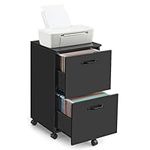 VASAGLE File Cabinet with 2 Drawers, Rolling Office Filing Cabinet, Hanging File Folders, Matte Black UOFC040B16