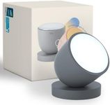 Olly Light Therapy Lamp. Daily Sunlight to Sleep Well, Day Night, UV-Free, Rechargeable and Portable, 2step Brightness Mode, 25minutes Automatic Timer(Day-Solid Gray)