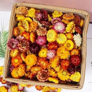 IWURBP 90-110 Pcs Natural Dried Daisy Flower Heads – Multicolor Real Gerbera Daisies & Chrysanthemums – Bulk Sunflowers for DIY Crafts, Wedding Decor, Home & Party Decorations, Headbands (90-110 PCS)