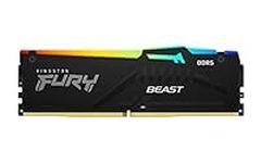 Kingston Technology Fury Beast RGB 