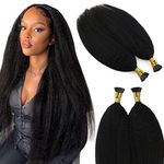 YoungSee Itip Human Hair Extensions Kinky Straight I Tip Hair Extensions Human Hair Black Itips Hair Extensions Human Hair Curly I-Tip Hair Extensions Real Human Hair for Black Women Yaki 14 inch 50g