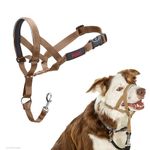 HALTI Headcollar - to Stop Your Dog Pulling on The Leash. Adjustable, Reflective and Lightweight, with Padded Nose Band. Dog Training Anti-Pull Collar for Medium Dogs (Size 2, Desert Sand)