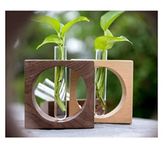 Decorous Shoppee Let's Decor Wooden Tabletop Planter Holder / Test Tube Planter Vine Holder Stand For Living Room / Bedroom / Balcony / Kitchen Planter Stand With Mango Wood And Rose Wood Set Of 2