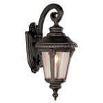 Trans Globe Lighting 5043 RT 1-Light Coach Lantern, Rust