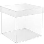 BELLE VOUS 5 Sided Acrylic Display Box - 20 x 20 x 20.5cm / 8 x 8 x 8.07 inches - Clear Small Case Boxes for Home, Museum or Wedding - Vase for Storage, Showcase, Jewellery and Gift