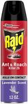 Raid Ant & Roach Killer Spray For L