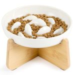 PETTOM Slow Feeder Cat Bowl Ceramic with Bamboo Stand, Raised Rim Spill Proof Slow Eating Cat Bowl for Wet Food/Dry Food, Cat Bowl Slow Feeder Anti Vomiting, Cat Puzzle Feeder Anti-Gulping (White)