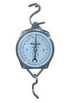 PESCA Venus Commercial Hanging Weighing Scale - 100Kg, Silver