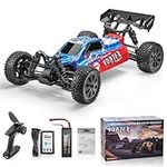 HSP 1/10 Fast RC Car for Adult, Ele