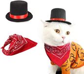 AWOCAN 2PCS Dog Costume Top Hat Cat Sombrero Hat Pet Triangle Towel Birthday Party Cosplay Costume Pet Dog Cat Holiday Party Decoration