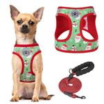 BEAUTYZOO Step in Dog Harness and Leash Set,Reflective Dog Harness No Pull No Choke Puppy Harness for Small Medium Large Dogs Cats,Soft Padded Mesh Vest Harnesses for Girl and Boy Pets,Christmas XS