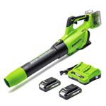 Greenworks 48V(2x24V) Cordless Axial Leaf Blower with Brushless Motor, Turbo Function, 217km/h, 16.4m³/min, PLUS Two of 24V 2Ah Batteries & Charger, 3 Year Guarantee GD24X2ABK2X