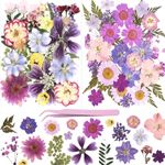 Nueciottoo 55Pcs Natural Pressed Dried Flowers Resin, Dry Flowers for Resin Accessories with Tweezer, Dried Flower for Scrapbooking DIY Art Crafts, Epoxy Resin Jewelry Molds, Candle, Nails Décor