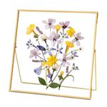 REDHUGO Glass Pressed Flower Frame Handmade, Square