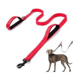 DDSCOLOUR Heavy Duty Dog Leash 5-6ft Long with Comfortable Padded Handle Training Lead Reflective Mountain Climbing Rope Dog leashes Walking Training Leash for Medium Large Red