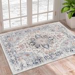 Homcomoda Small Area Rug 2x3 Non Skid Washable Indoor Door Mat for Entryway Low Pile Vintage Throw Rugs for Living Room Bedroom Kitchen