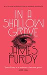 In a Shallow Grave (Valancourt 20th Century Classics)