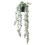 Ikea Aerglo FEJKA Artificial Potted Plant, indoor, Outdoor Hanging Eucalyptus (Green, Pot Length 9 cm, Plant Length: 58 cm Weight: 0.33 kg Diameter: 12 cm)