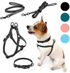 PIPCO PETS - Superlite Walkies Bund