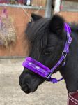 Equipride Horse Print Faux Lined Nylon Headcollars with Matching Lead Rope Purple (Mini Shetland)