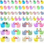 HEQU 120pcs Mini Luminous Resin Ducks Glow in The Dark Mini Ducks Mini Resin Animals Tiny Ducks in 4 Styles Little Ducks for Home DIY Crafts, Aquarium, Garden, Potted Plant Decoration