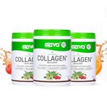 OZiva Vegan Collagen (Berry Orange) for Skin, Hair & Nails | Plant-Based Collagen Peptides Supplement for Men & Women | Non-GMO, No Sugar Added | Powder, 200g (Pack of 3)