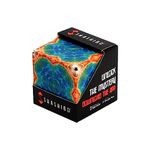 SHASHIBO Shape Shifting Box - Award-Winning, Patented Fidget Box w/ 36 Rare Earth Magnets - Transforms Into Over 70 Shapes, Download Fun in Motion Toys Mobile App (Explorer Series - Earth)