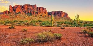 MIRRORANG 120x61cm Reptile Habitat Background Sky Oasis Mountain Cactus Sun and Desert Terrarium Background Durable Vinyl Background