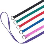 Downtown Pet Supply Slip Leads, Kennel Leads with O Ring (12 pack) for Dog Pet Animal Control Grooming, Shelter, Rescues, Vet, Veterinarian, Doggy Daycare - 4 foot Length x 5/8 inch Width