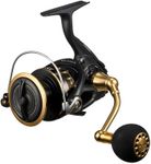 Daiwa 6000