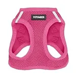 Voyager Step-in Air Dog Harness - A