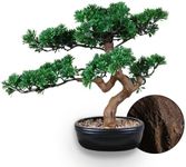 Artificial Bonsai Tree 16" Tall with Realistic Wood and Ceramic Pot, Fake Plants for Home, Bedroom and Office Desk, Japanese Decor