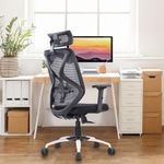 Vergo Transform Ergonomic High Back Mesh Office Chair | Lumbar Support, Adjustable Armrests, Multi Lock Synchro Mechanism, Metal Base | Home Office Desk Chair, 3 Years Warranty (Black)