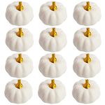 12Pcs White Autumn Artificial Pumpkins Set,Bulk Decoration Faux Harvest Pumpkins Fake Mini Foam Pumpkins,Halloween Pumpkin Decoration for Crafts Fall Wedding Halloween Party Decor Home Decoration