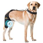 Dollephi Dog Knee Brace for Torn ACL Hind Leg, Support for Patella Dislocation or Osteoarthritis, Cruciate Ligament Injuries, Cut-Out Non-Slip Wrap Promotes Patellar Stability((Right Leg,S)