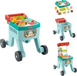 Fisher-Price Baby Learning Toy Laug
