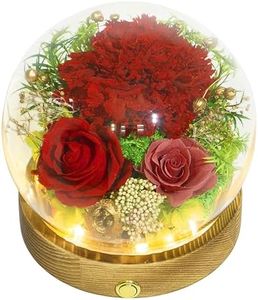 Valley of Rain & Forest Long-Lasting Real Flowers, Unique Floral Gift For you to send Love for All Occasions, for Indoor Decoration (Red Carnation Arrangement)