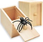 AHZI Fun Spider Money Surprise Box,