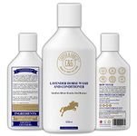 C&G Pets | Lavender Horse Wash and Conditioner | Soothes Minor Knocks And Bruises | Powerful Organic Natural Horses Shampoo | Effectively Shines And Cleans Mane Tail