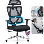 MELOKEA Ergonomic Office Chair with Auto-chasing Lumbar Support 3D Arm Widened Headrest Spring Seat Cushion Patented Weight-sensing Base 133° Lock Solidly Built Mesh, EN1335 Standard