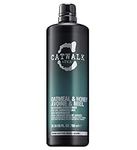 Catwalk by TIGI - Oatmeal & Honey Nourish Conditioner - Ideal for Dry Damaged Hair - 750 ml