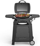 MASTER COOK Propane Gas Grill, Port