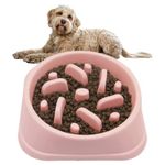 PTROUT Plastic Slow Feeder Dog Bowl, dog bowls Prevent Choking and Overeating for Medium & Small Dogs Puzzle Pet Healthy Feeding Bowls with Non-Slip Rubber Feet