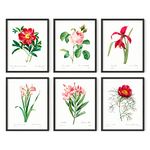 Haus and Hues Vintage Flower Posters and Prints - Set of 6 Wildflower Wall Art Botanical Print Set | Plant Poster Vintage Floral Art Prints for Wall Vintage Botanical Prints Wall Art UNFRAMED (11x14)