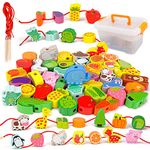 2 Year Old Educational Toys