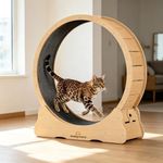 Homegroove Cat Exercise Wheel for I