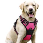 rabbitgoo Dog Harness, No-Pull Pet Harness with 2 Leash Clips, Adjustable Soft Padded Vest, Reflective No-Choke Pet Oxford Vest with Easy Control Handle for Large Dogs,Hot Pink, L