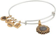 Alex and Ani Tokens Expandable Bang