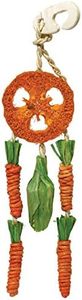 Rosewood 19709 Carrot Dream Catcher Hanging Toy for Small Animals